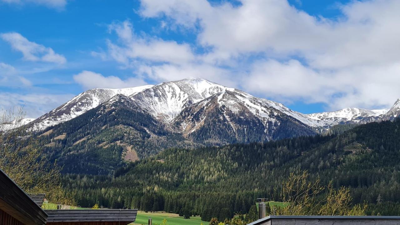 Вилла Haus Emmy - Urlaub Bei Freunden Хоэнтауэрн Экстерьер фото