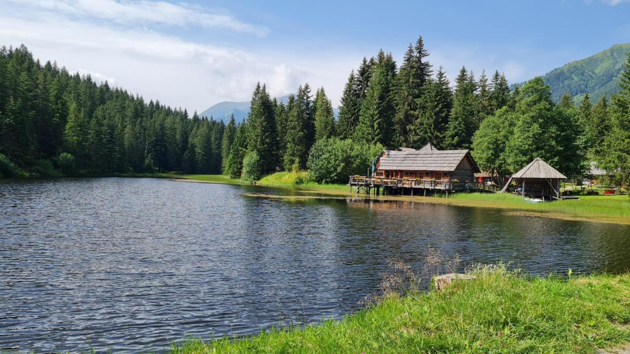 Вилла Haus Emmy - Urlaub Bei Freunden Хоэнтауэрн Экстерьер фото