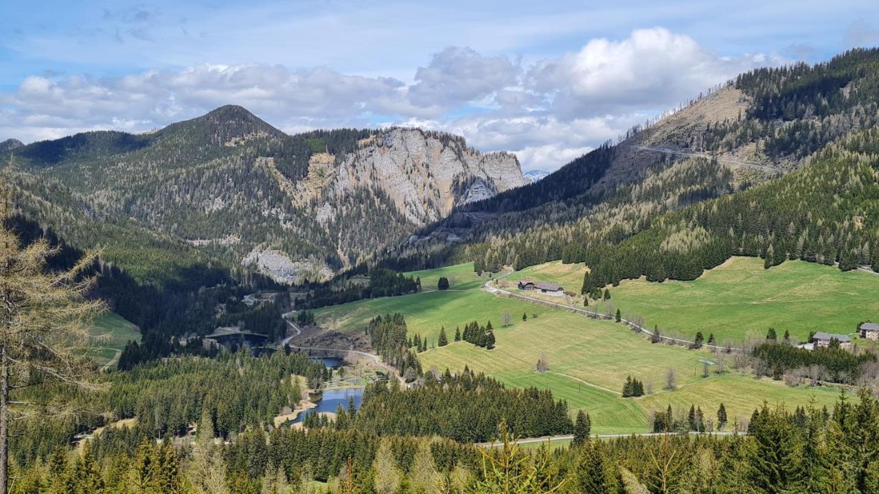 Вилла Haus Emmy - Urlaub Bei Freunden Хоэнтауэрн Экстерьер фото